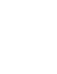 Cyber Scheme accredited logo